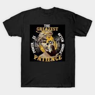 The greatest power is often simple patience T-Shirt